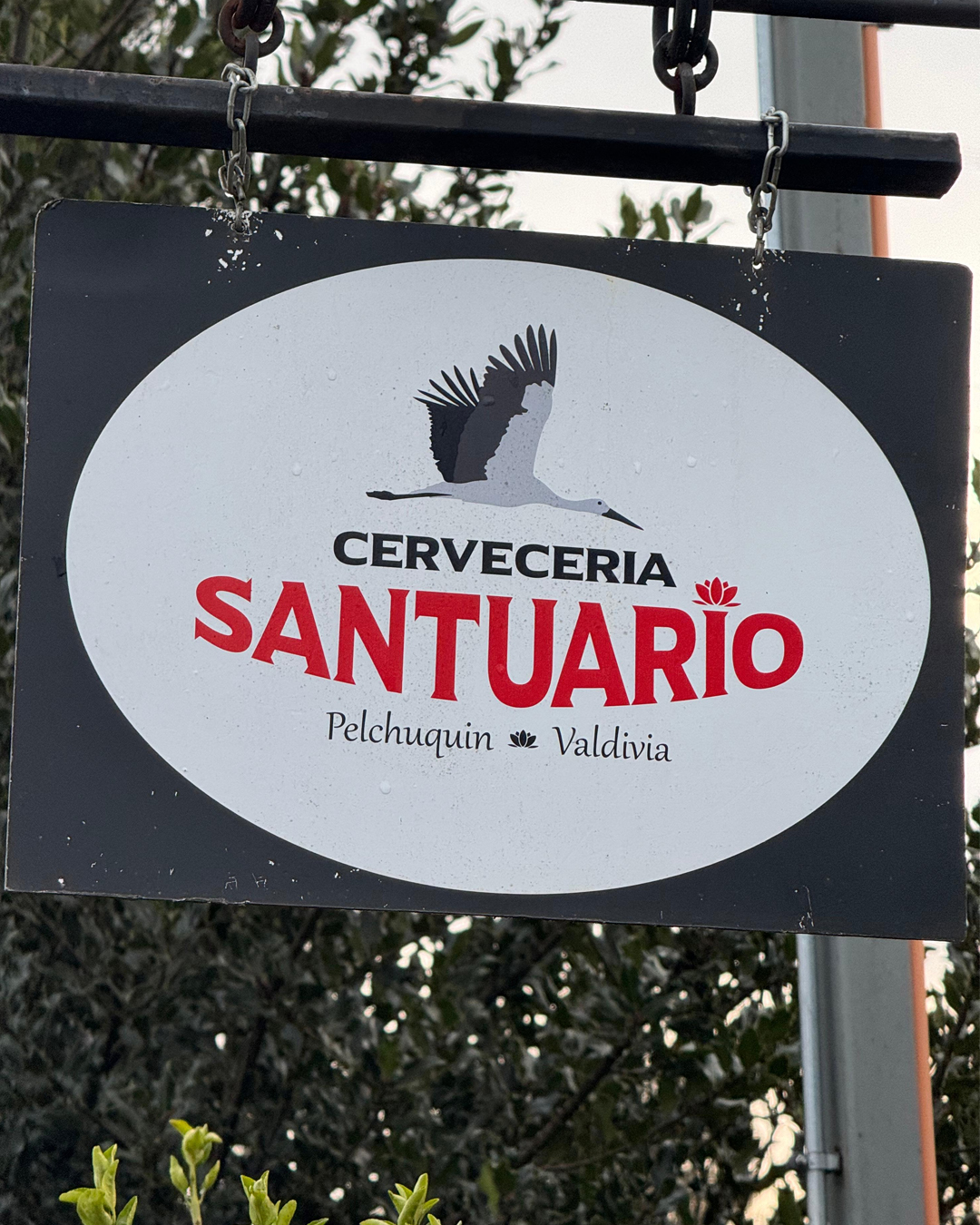 Cervecería Santuario