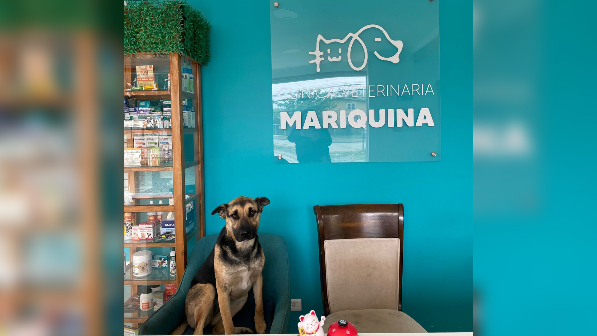 Clínica Veterinaria Mariquina